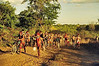 Juliano Serra > Kuarup de Orlando Villa-Boas 2003  copyright (c) 2007 Juliano Serra